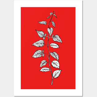 Botanical Branch Posters and Art